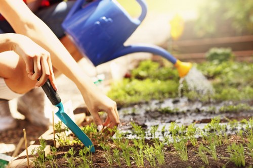 Garden drainage inspection in a Morden residential garden