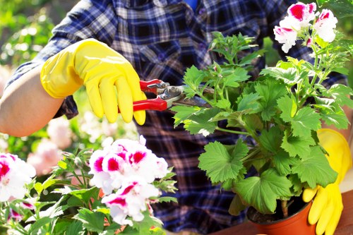 Soft landscaping planting and border design in a Morden garden