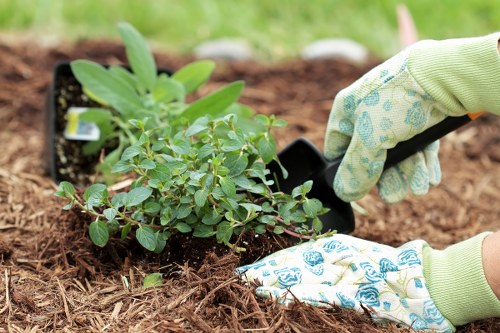 Garden clearance estimate for a residential property in Morden