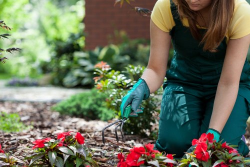 Outdoor lighting options for paths, borders, and seating areas in a Morden garden