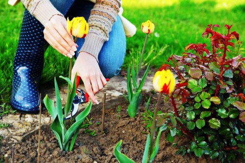 Refined About Us Landscaping Morden concept with cohesive outdoor features
