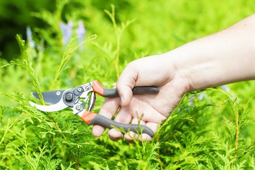 Analytics cookies used to monitor site performance for Landscaping Morden
