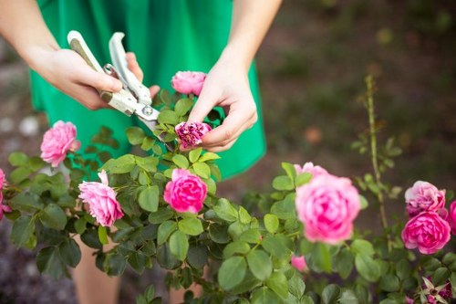 Professional landscaping safety and insurance measures in Morden