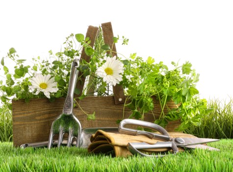 Management oversight of ethical practices in landscaping operations