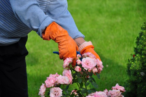Final inspection after corrective landscaping work