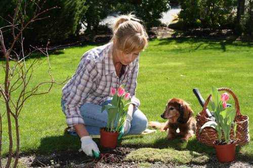 Local team planning garden drainage installation in Morden