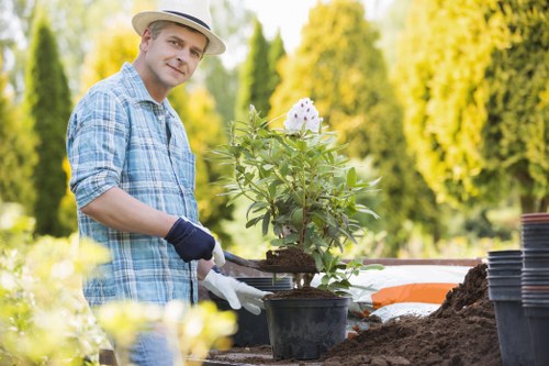 Local garden redesign and landscaping work for a Morden home