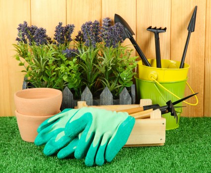 Professional landscaping in Morden with balanced garden layout