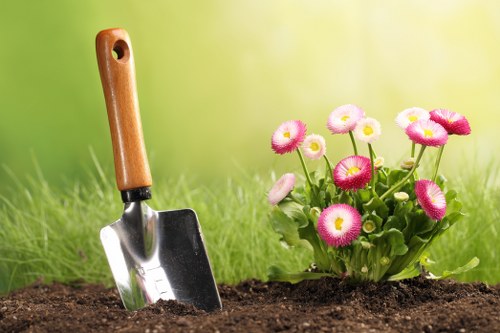 Waste removal and garden clearance area